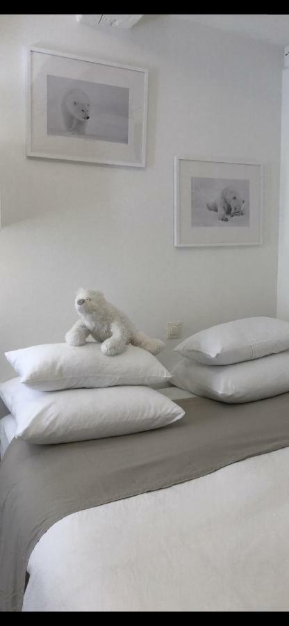 La Taniere De L'Ours Blanc Aubagne-Cassis-Aix En Provence 아파트 외부 사진
